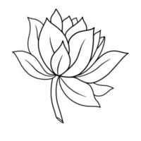 schets lotus bloem geïsoleerd Aan wit achtergrond. vector illustartion