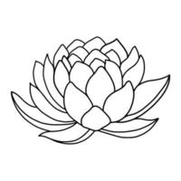 schets lotus bloem geïsoleerd Aan wit achtergrond. vector illustartion