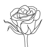 schets roos geïsoleerd Aan wit achtergrond. vector illustartion