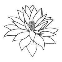 schets lotus bloem geïsoleerd Aan wit achtergrond. vector illustartion