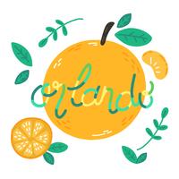 Leuke sinaasappels met letters Abput Orlando City vector