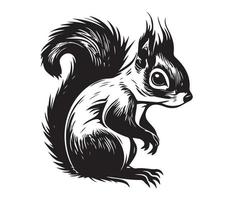 eekhoorn gezicht, silhouetten eekhoorn gezicht, zwart en wit eekhoorn vector