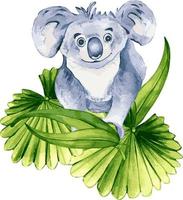 tekenfilm koala waterverf illustratie geïsoleerd Aan wit achtergrond. schattig Australisch beer karakter, palm bladeren hand- getrokken. ontwerp element voor afdrukken, behang, textiel, kinderachtig sticker, poster vector