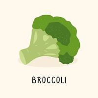 broccoli vector vlak illustratie, geïsoleerd Aan wit achtergrond