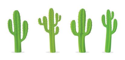 set van cactusplanten vector