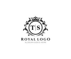 eerste ts brief luxueus merk logo sjabloon, voor restaurant, royalty, boetiek, cafe, hotel, heraldisch, sieraden, mode en andere vector illustratie.