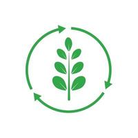 groen moringa blad logo, voor kruiden ingrediënten, moringa landbouw, Gezondheid, geneeskunde industrie, schoonheid, therapie, concept ontwerp vector illustratie icoon sjabloon met een modern concept