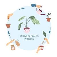 poster voor groeit planten werkwijze met handen, zaden, pot, spruit en fabriek in de midden. huis tuinieren en planten zorg concept. vector infografisch.