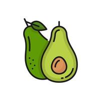 alligator Peer, exotisch avocado fruit tussendoortje icoon vector