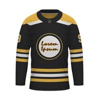 realistisch ijs hockey overhemd van Boston, Jersey sjabloon vector