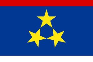 gemakkelijk vlag van vojvodina vector