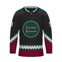 realistisch ijs hockey overhemd van Arizona, Jersey sjabloon vector