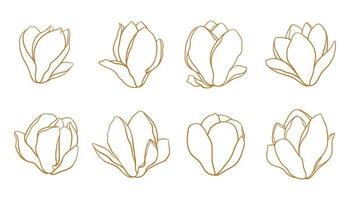 reeks van bloeiend magnolia bloemknoppen in goud kleur. vector