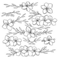 doorlopend lijn tekening reeks van planten zwart schetsen van bloemen geïsoleerd Aan wit achtergrond. bloemen een lijn illustratie. minimalistische prints set. vector eps 10