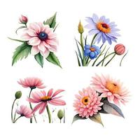 verzameling van getrokken waterverf bloemen vector