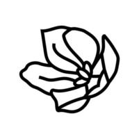 saffraan voedsel kruid lijn icoon vector illustratie
