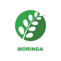 groen moringa blad logo, voor kruiden ingrediënten, moringa landbouw, Gezondheid, geneeskunde industrie, schoonheid, therapie, concept ontwerp vector illustratie icoon sjabloon met een modern concept