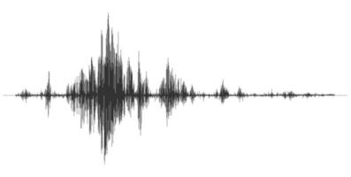 aardbeving amplitude seismograaf Golf diagram vector