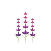 lavendel bloem logo symbool sjabloon vector