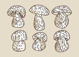 paddestoelen producten. vector illustratie.