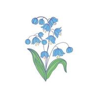 klokbloemen campanula - hand- getrokken vector illustratie van blauw klok bloemen en bloemknoppen Aan wit achtergrond. kleurrijk bloemen pictogrammen set. vector geïsoleerd bloemen elementen.