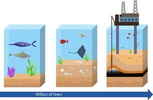 olie en gas- vorming vector illustratie, olie en gas- vorming stap door stap diagram, olie en gas- industrie in de oceaan, vorming van petroleum