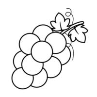 druiven lijn tekening icoon fruit vector illustratie