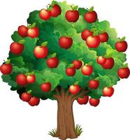 rode appels aan een boom geïsoleerd op een witte achtergrond vector