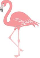 flamingo vector pictogram