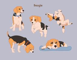 verschillende poses van de schattige beagle. hand getrokken stijl vector ontwerp illustraties.