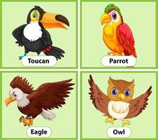 educatieve Engelse woordkaart van vogels in te stellen vector