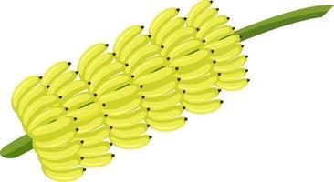 bos van banaan geïsoleerde cartoon-stijl op een witte achtergrond vector