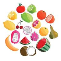 verzameling van exotisch tropisch fruit, geïsoleerd op een witte achtergrond. kleurrijke platte vectorillustratie. vector