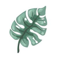 monstera blad, tropisch en exotisch gebladerte decor vector
