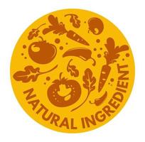 natuurlijk ingrediënten, groenten en fruit vector