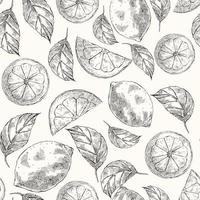 naadloze patroon met citroenen in schetsstijl vector