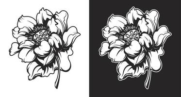zwart en wit vector illustraties van lotus bloemen