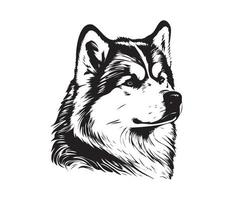 Alaska malamute gezicht, silhouetten hond gezicht, zwart en wit Alaska malamute vector