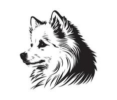 Amerikaans Eskimo hond gezicht, silhouetten hond gezicht, zwart en wit Amerikaans Eskimo hond vector