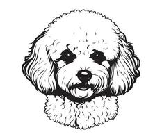 bichon frise gezicht, silhouet hond gezicht, zwart en wit bichon frise vector