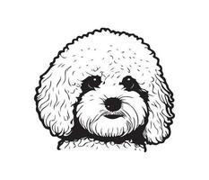 bichon frise gezicht, silhouet hond gezicht, zwart en wit bichon frise vector