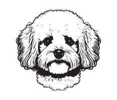 bichon frise gezicht, silhouet hond gezicht, zwart en wit bichon frise vector