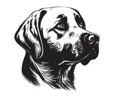 labrador retriever gezicht, silhouet hond gezicht, zwart en wit labrador retriever vector