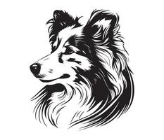 shetland herdershond gezicht, silhouet hond gezicht, zwart en wit shetland herdershond vector