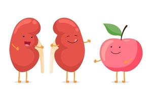 sterk gezond gelukkig nier lachend emotiekarakter met rode appel. menselijke anatomie urogenitaal systeem inwendig orgaan met eco-voedselvoeding. vector plantaardige cartoon illustratie