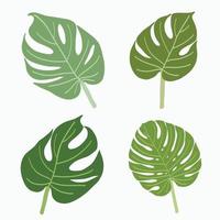 eenvoud monstera blad uit de vrije hand doorlopende lijntekening plat ontwerp. vector