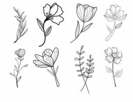 botanisch vector bloem zwart schets hand- getrokken bloemen illustratie