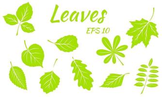 verzameling van groene bladeren. bladeren van verschillende vormen. gesneden bladeren. silhouet. vector