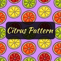 een patroon van schijfjes citroen, grapefruit. limoen en sinaasappel. naadloze patroon. citrus patroon. vector