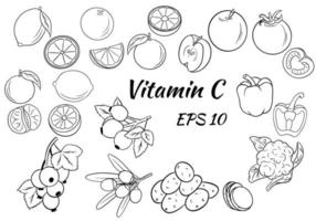 set van groenten en fruit en bessen. vitamine C. gezond eten. geweldige verzameling. vector